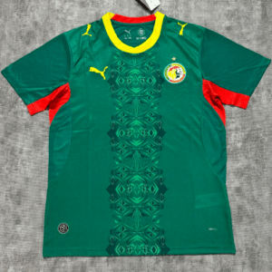 Senegal bortatröja VM 2026 med eget namn och nummer tryck