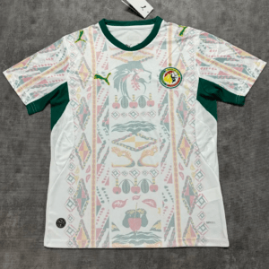 Senegal hemmatröja VM 2026 med eget namn och nummer tryck