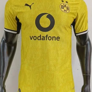 dortmund tröja med eget namn och nummer player edition 2026